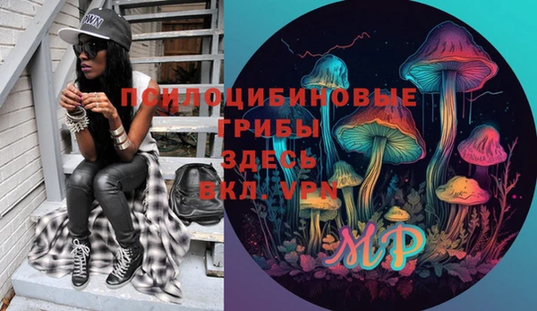 метадон Лабытнанги