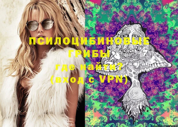 прущие грибы Лагань