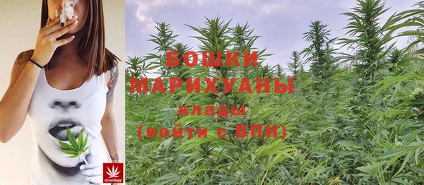 прущие грибы Лагань