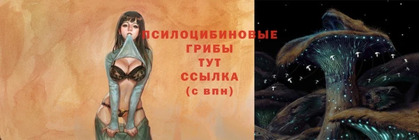 прущие грибы Лагань