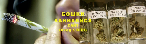 прущие грибы Лагань