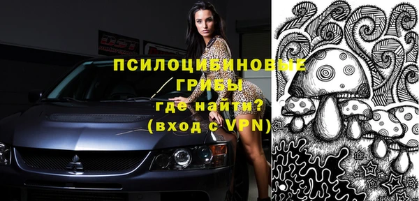 прущие грибы Лагань