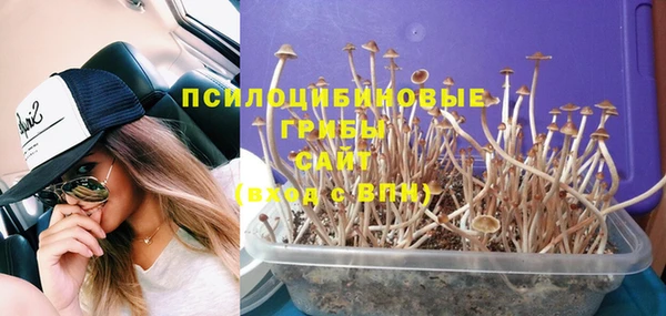 метадон Лабытнанги