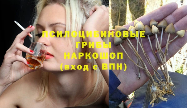 прущие грибы Лагань