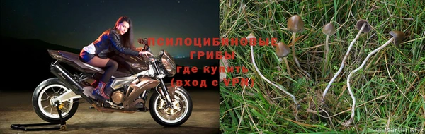 круглые Ладушкин